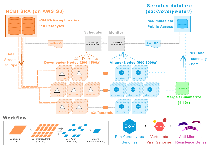 Computorial Architecture diagram of the Serratus project.