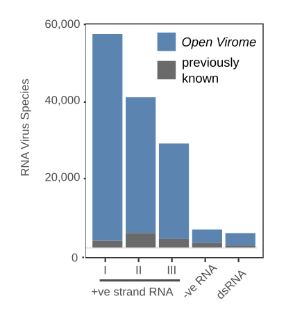 Bar graph of The Open Virome Dataset. Overview of the type of RNA viruses uncovered by Serratus