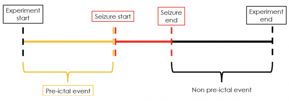 Figure 4 shows the timeline of when the pre-ictal and non pre-ictal temporal samples are extracted within 40 minutes of the experiment starting.