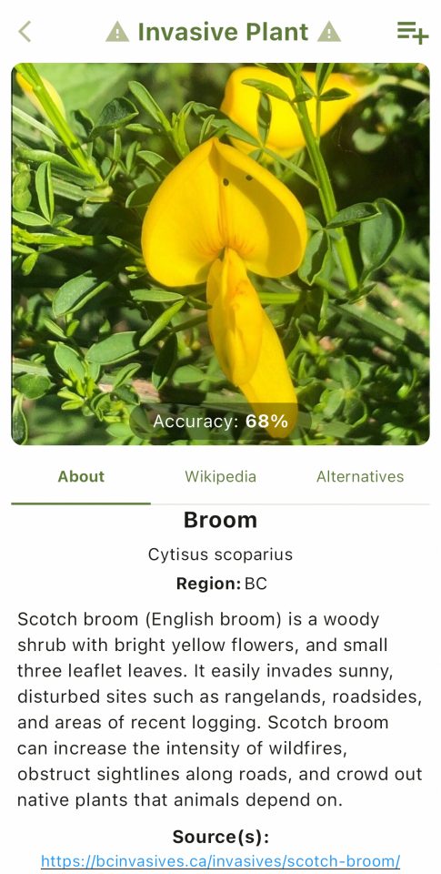 The mobile app's results page after after identifying an invasive plant species